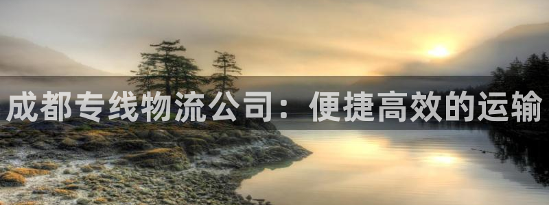 28圈在线预测官网：成都专线物流公司