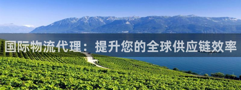 28圈赌博被抓