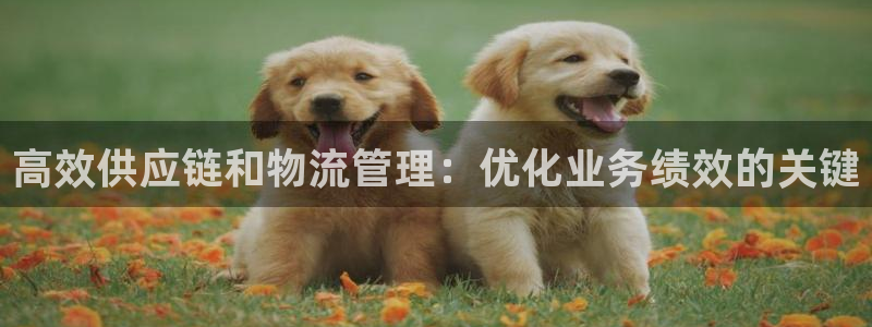 28圈h5链接