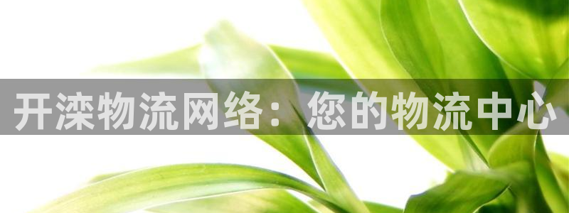 28圈大神预测