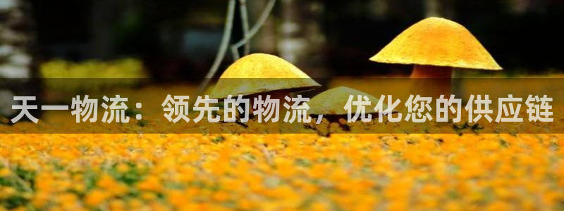 28圈注册网站链接是什么：天一物流：