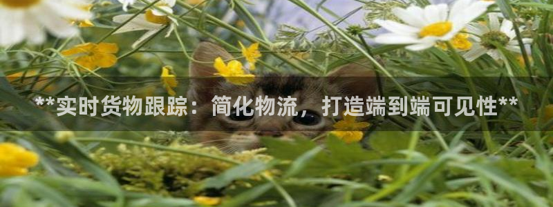 28圈v6能卖多少