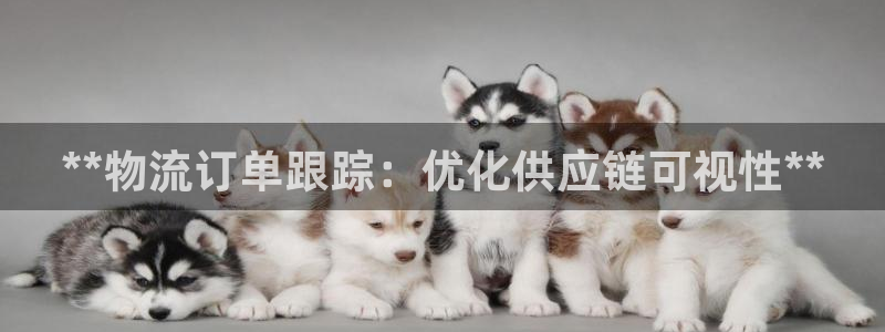 28圈aPP退款