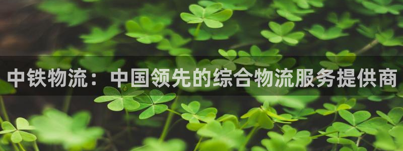 28圈预测
