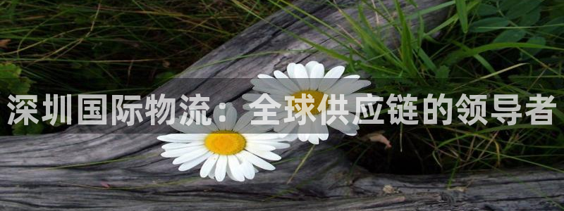 28圈充值不到账怎么办