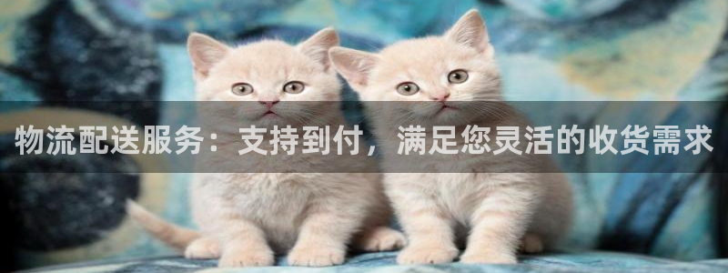 28圈是南宫旗下的吗