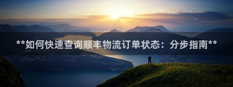 28圈预测