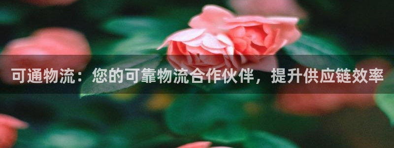 自行车28圈是什么意思