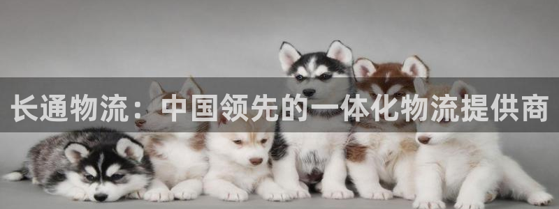 28圈二维码