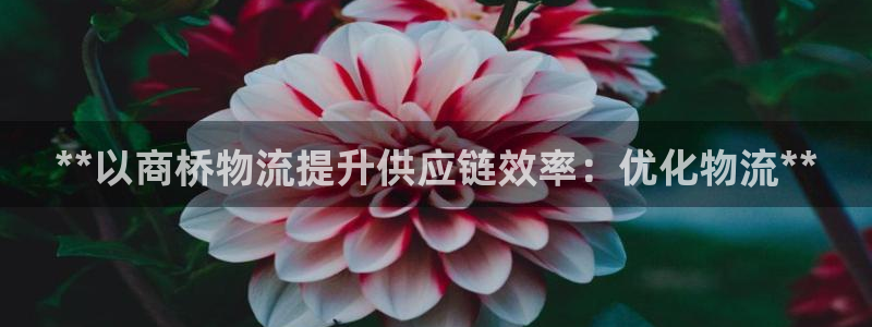 28圈app官网少林足球