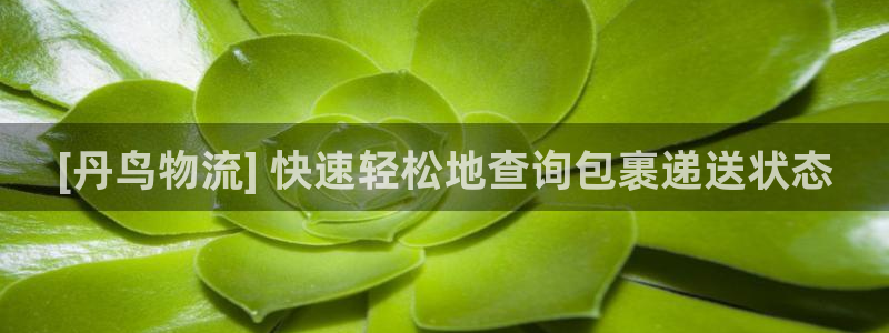 28圈为什么没有赢过一次