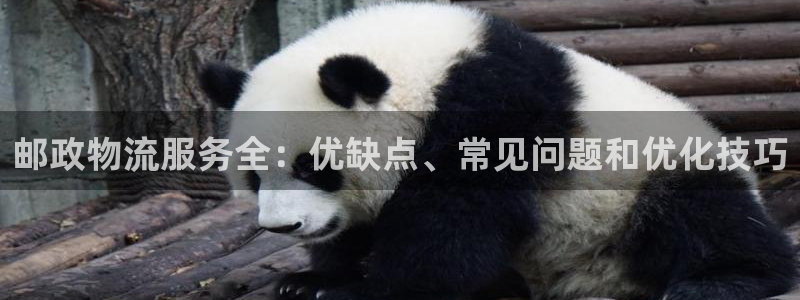 28圈怎么注册：邮政物流服务全：优缺