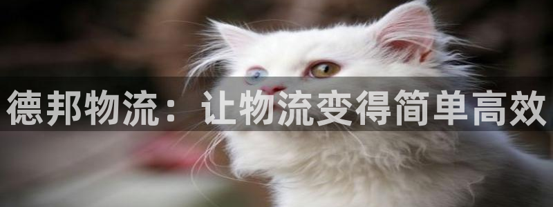 28圈黑款：德邦物流：让物流变得简单