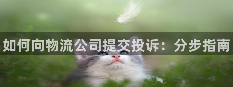 28圈是什么软件：如何向物流公司提交