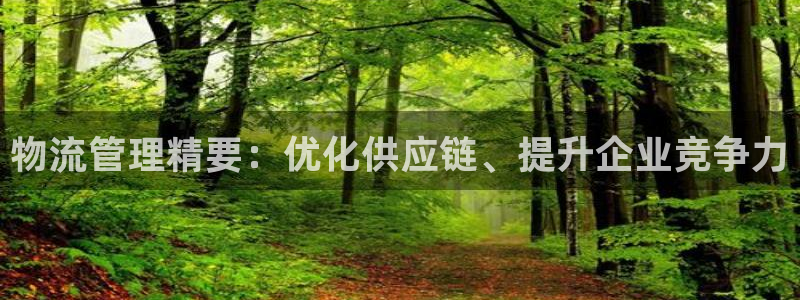 28圈黑不黑：物流管理精要：优化供应