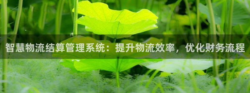 28圈提款一直没到：智慧物流结算管理