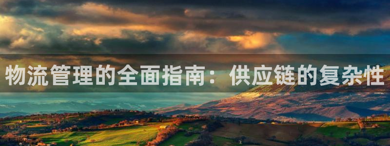 28圈登录网：物流管理的全面指南：供