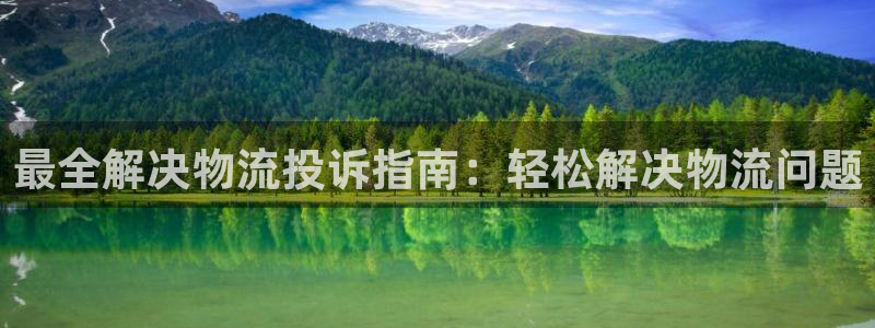 28圈官网开奖结果预测：最全解决物流