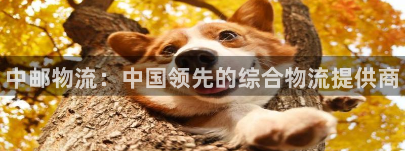 28圈软件有什么用：中邮物流：中国领