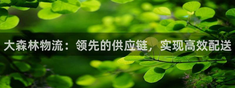 28圈分分28输了能不能退：大森林物