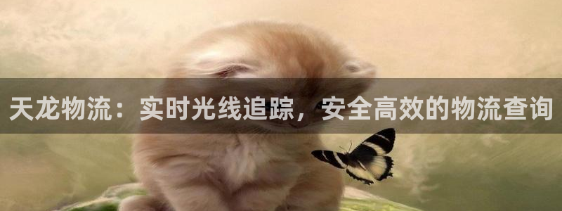28圈登录不上咋回事：天龙物流：实时