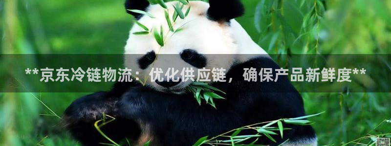 28圈头像：**京东冷链物流：优化供