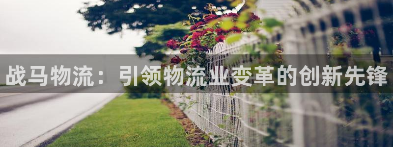 28圈反水