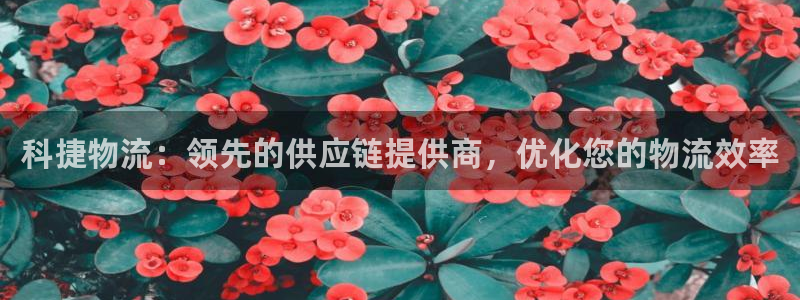28圈体育下载：科捷物流：领先的供应