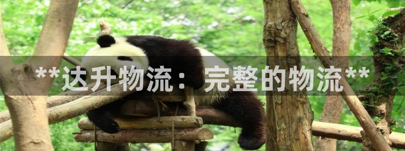 28圈加拿大最新版