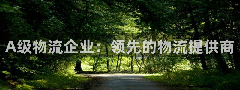 28圈官网预测：A级物流企业：领先的