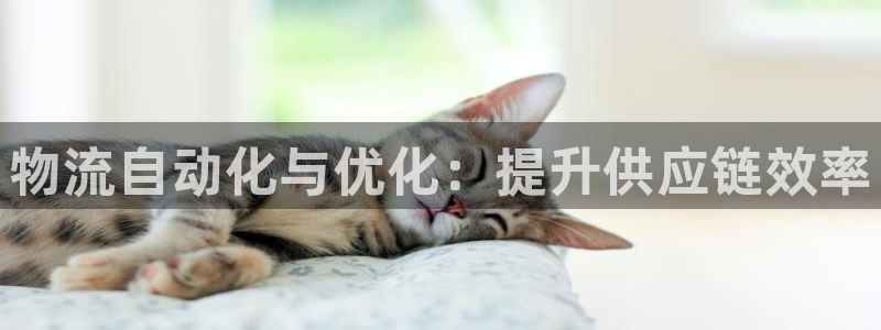 28圈注册问一问：物流自动化与优化：