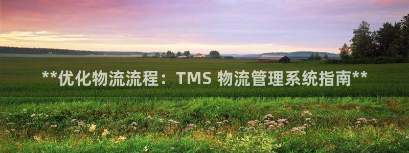 28圈官网版所有版本：**优化物流流