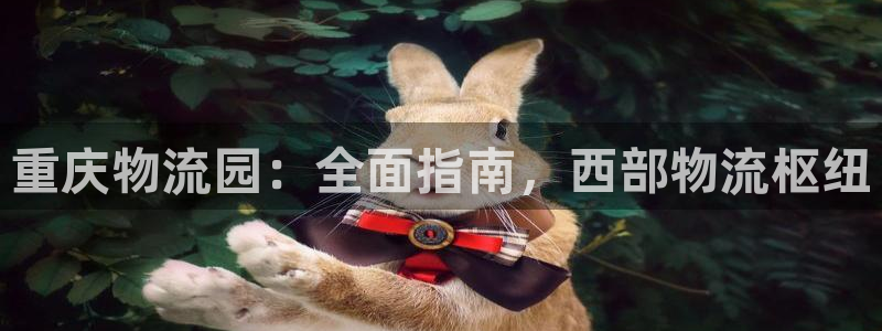 28圈娱乐官网网页下载：重庆物流园：