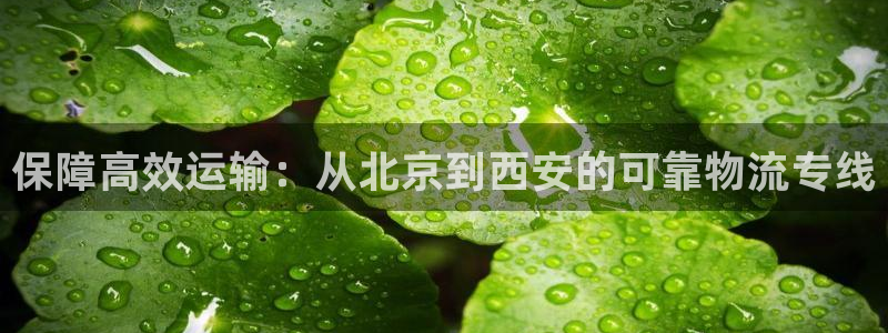 28圈平台注册：保障高效运输：从北京
