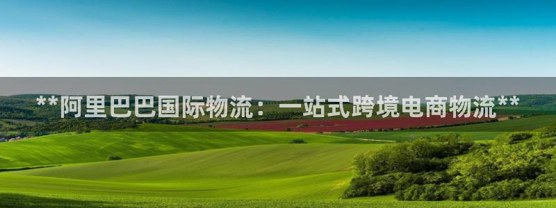 28圈软件有什么用：**阿里巴巴国际