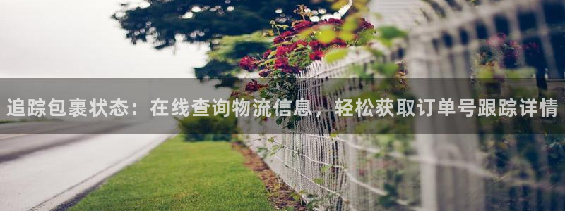 28圈注册官网：追踪包裹状态：在线查