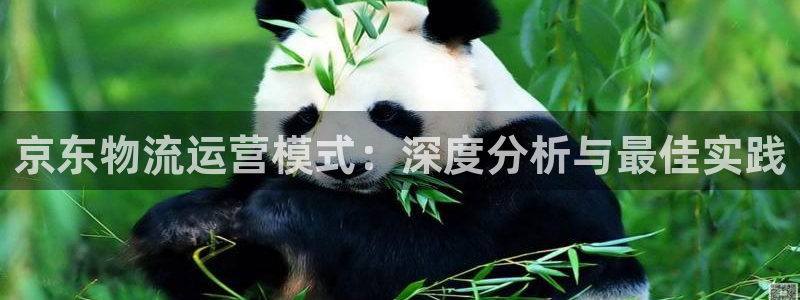 28圈模拟器在线玩