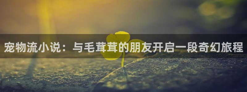 28圈网赌案件：宠物流小说：与毛茸茸