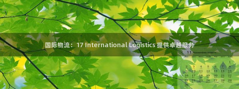 28圈黑平台吗：国际物流：17 In
