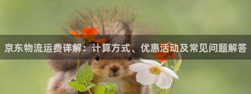 28圈怎么注册账号：京东物流运费详解