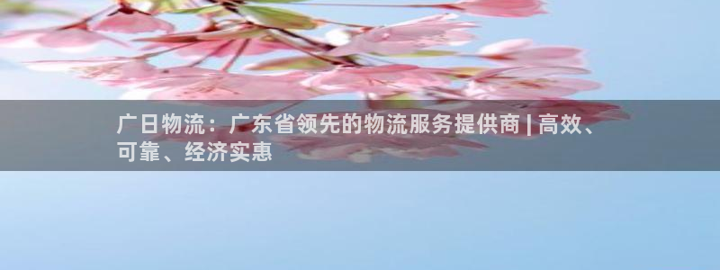 28圈p扣除是什么意思：广日物流：广