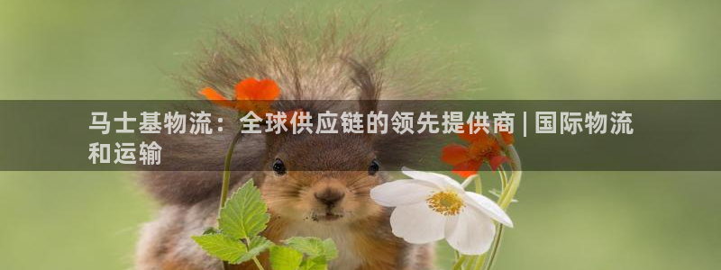 28圈游戏官网平台