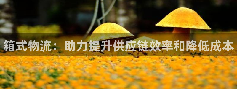 28圈注册链接：箱式物流：助力提升供