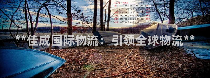 28圈女王中奖记录查询：**佳成国际