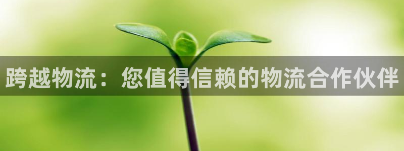 28圈怎么注册：跨越物流：您值得信赖