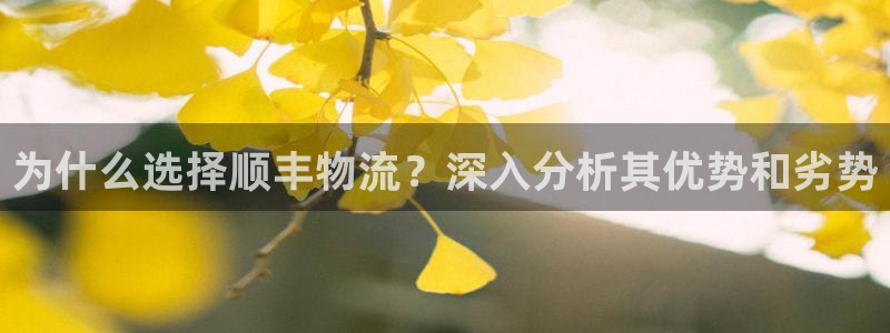 28圈模拟器在线使用：为什么选择顺丰