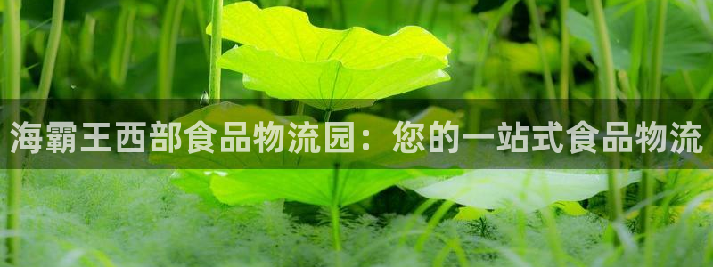 28圈起来的符号