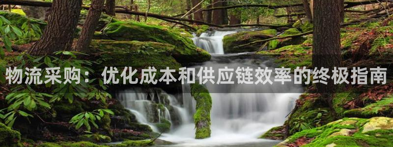 28圈分分压单双技巧：物流采购：优化