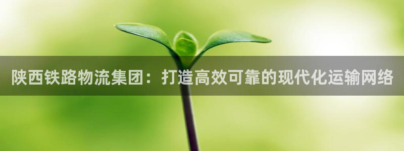 南宫28圈官网版：陕西铁路物流集团：