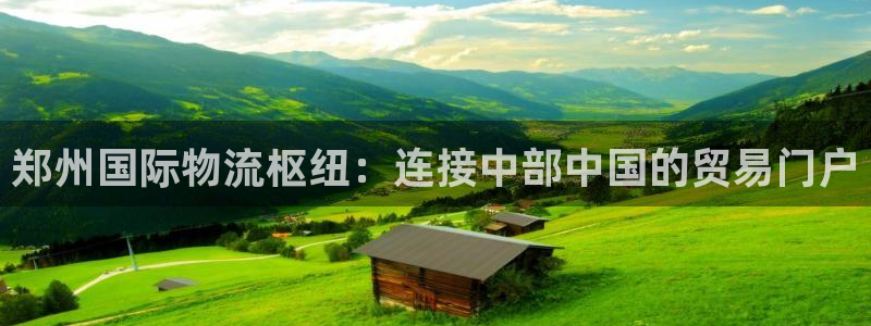 28圈注册网站链接怎么弄：郑州国际物